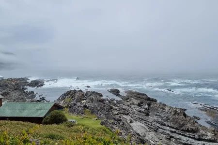Uncover Tsitsikamma: A Nature Lover’s Paradise